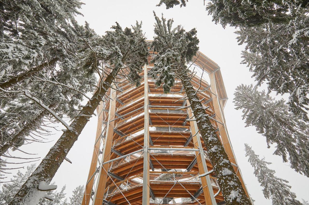 Ski Hotel Svoboda nad Úpou Eksteriør bilde